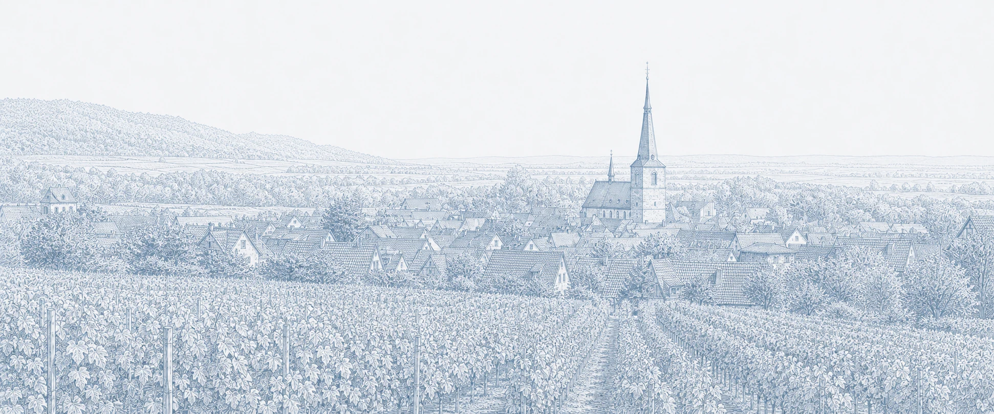 Pale blue line illustration of Deidesheim seen across vineyards