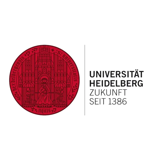Heidelberg University, Future since 1386