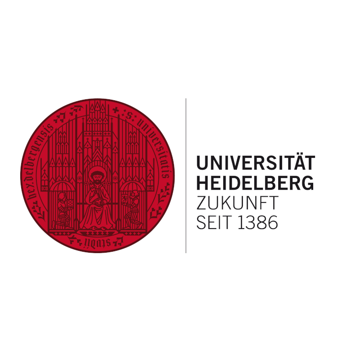 Heidelberg University, Future since 1386